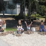 article image - 